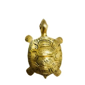 Sarva Ichha Purti Kachua Yantra