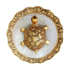Feng Shui Tortoise On Glass Plate